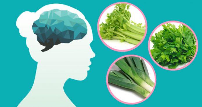 2 порции этого овоща могут улучшить деятельность вашего мозга в мгновение ока!