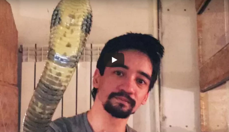 Շոկային տեսանյութ։ Հաղորդավարը մահացել է օձի խայթումից ուղիղ եթերի ժամանակ։