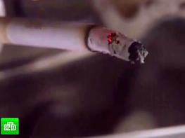 Շոկային տեսանյութ, որը ցնցել է ողջ աշխարհը. ահա, թե իրականում ինչից են պատրաստում ծխախոտը. միայն ամուր նյարդեր ունեցողների համար