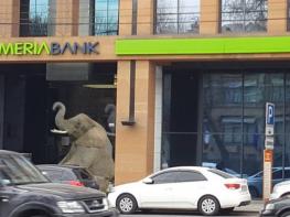 Երեկ Երևանում հայտնված փիղը հասավ Ameriabank