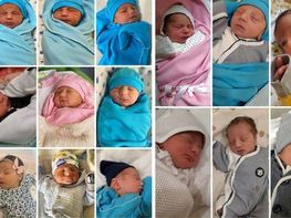 Պատերազմի առաջին օրերից մինչ այսօր միայն «Շենգավիթ» ԲԿ-ում ծնվել է 15 արցախցի փոքրիկ