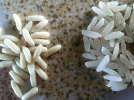 Тесты на проверку качества риса